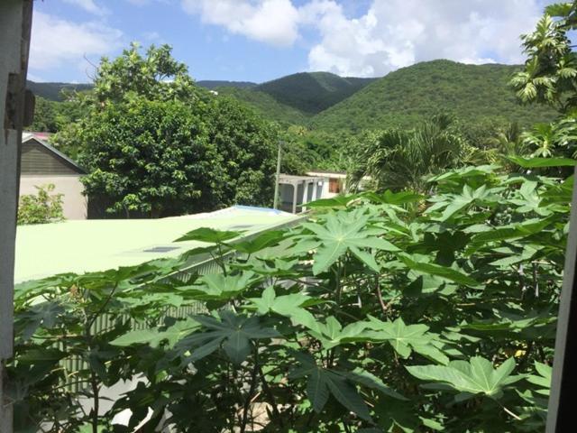 Habitation Baliache - Maison Creole Avec Jardin Privatif, Plage A 200M 德赛 外观 照片
